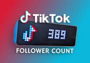 TikTok Follower Count