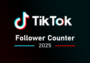 TikTok Follower Counter 2025